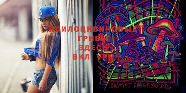 2c-b Арсеньев