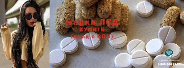 ешки Аркадак